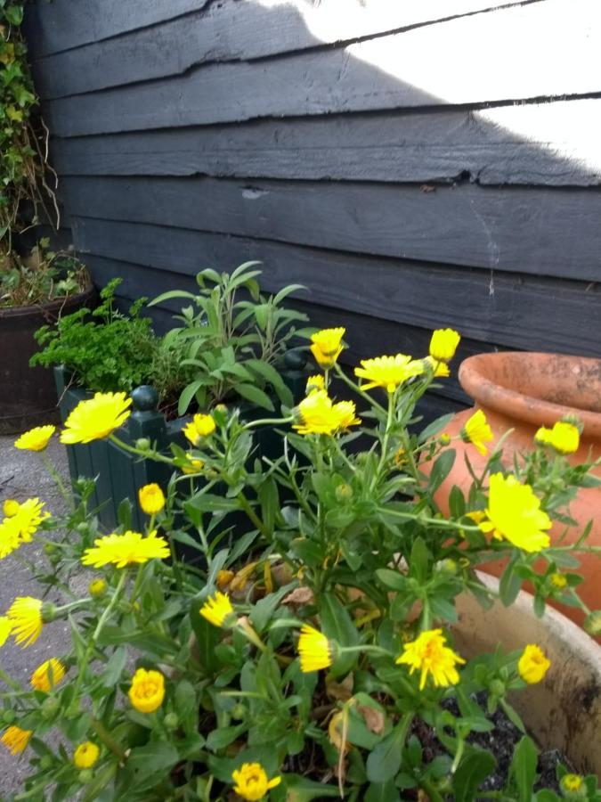 Tredegar Cosy, Dog Friendly House On The Fringe Of The Brecon Beaconsヴィラ エクステリア 写真